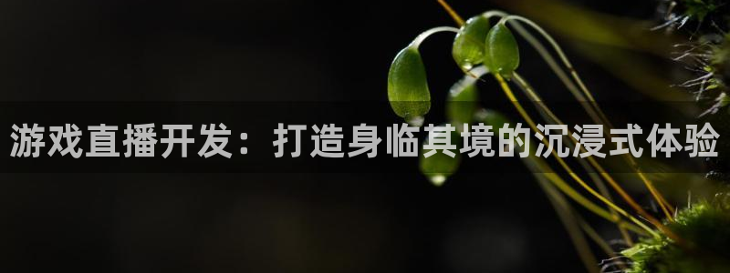 沐鸣娱乐2手机版