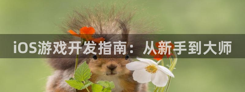 沐鸣2娱乐注册平台