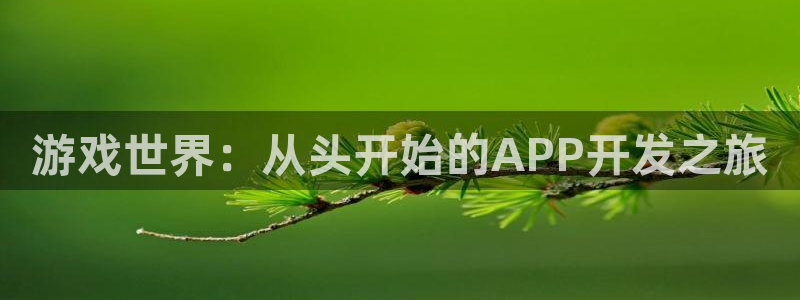 沐鸣2注册说来77542：游戏世界：从头开始的APP开发之旅