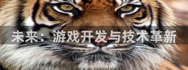 沐鸣2选 37OO735：未来：游戏开发与技术革新