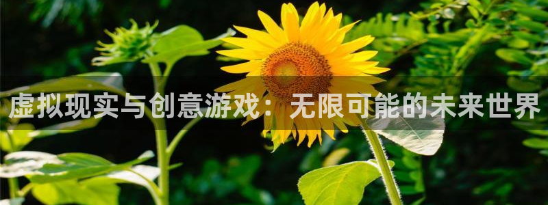 沐鸣娱乐2官网网址是多少：虚拟现实与创意游戏：无限可能的未来世界