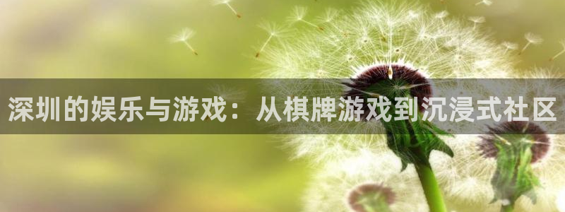 沐鸣娱乐2登录平台是什么：深圳的娱乐与游戏：从棋牌游戏到沉浸式社区