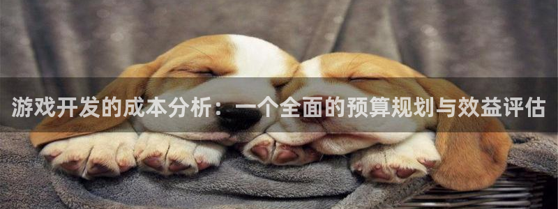 沐鸣代理22927：游戏开发的成本分析：一个全面的预算规划与效益评估