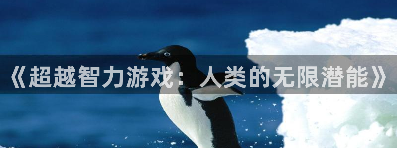 沐鸣娱乐2注册平台：《超越智力游戏：人类的无限潜能》