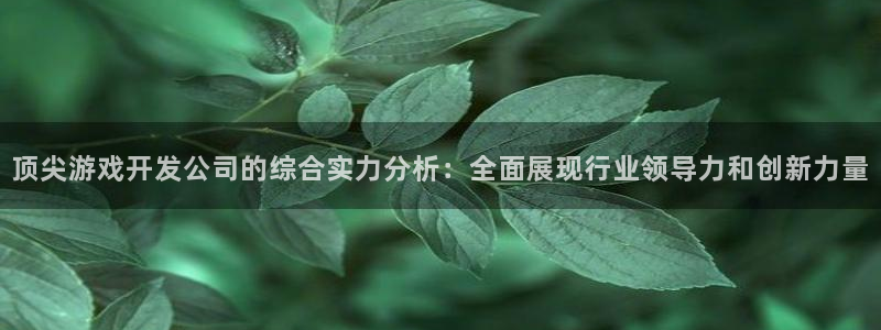 沐鸣2注册网站：顶尖游戏开发公司的综合实力分析：全面展现行业领导力和创新力量