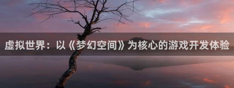 沐鸣娱乐2可靠吗：虚拟世界：以《梦幻空间》为核心的游戏开发体验