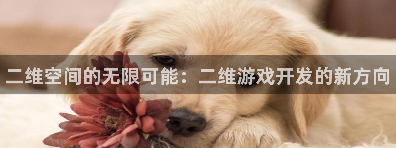 沐鸣2官网 5O6917：二维空间的无限可能：二维游戏开发的新方向