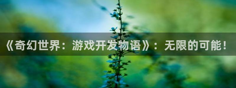 沐鸣娱乐2可靠吗：《奇幻世界：游戏开发物语》：无限的可能！