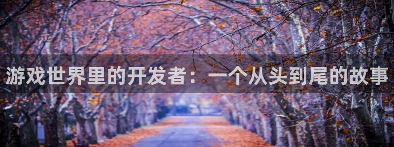 沐鸣娱乐2注册官网：游戏世界里的开发者：一个从头到尾的故事