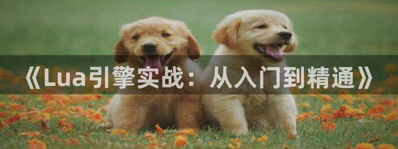 沐鸣2注册说来77542：《Lua引擎实战：从入门到精通》