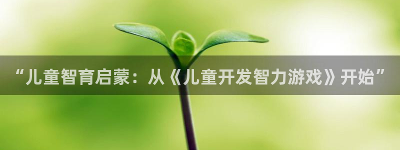 沐鸣2撤35994还和：“儿童智育启蒙：从《儿童开发智力游戏》开始”