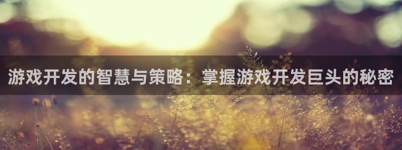 沐鸣娱乐2上来77542：游戏开发的智慧与策略：掌握游戏开发巨头的秘密