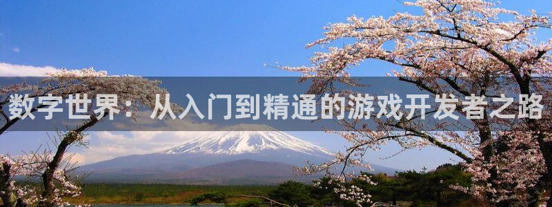 沐鸣娱乐2如何找回密码：数字世界：从入门到精通的游戏开发者之路