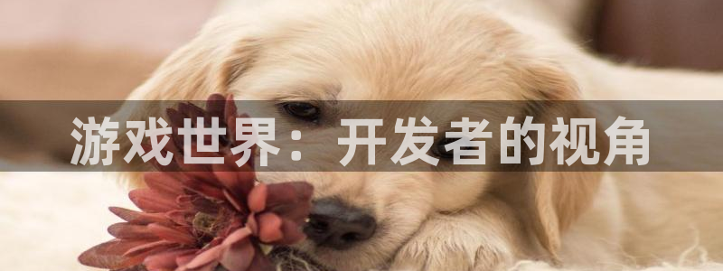 沐鸣2注册丘27337：游戏世界：开发者的视角