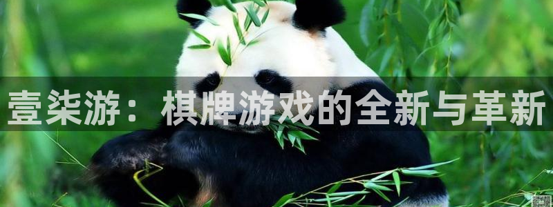 沐鸣2注册丘27337：壹柒游：棋牌游戏的全新与革新