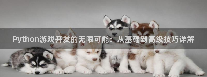 沐鸣2登陆