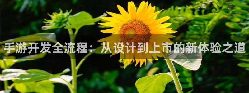 沐鸣2平台主管