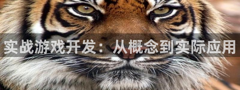 沐鸣娱乐2平台