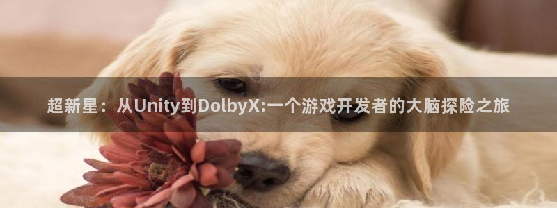 沐鸣2联盟：超新星：从Unity到DolbyX:一个游戏开发者的大脑探险之旅