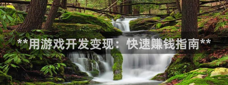 沐鸣2平台招商：**用游戏开发变现：快速赚钱指南**